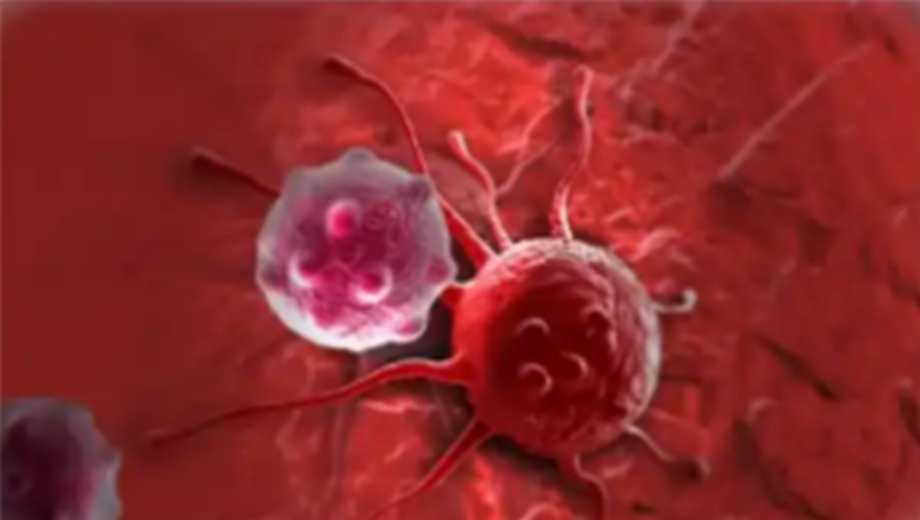 ScreenShot_2025-11-17_153629_771