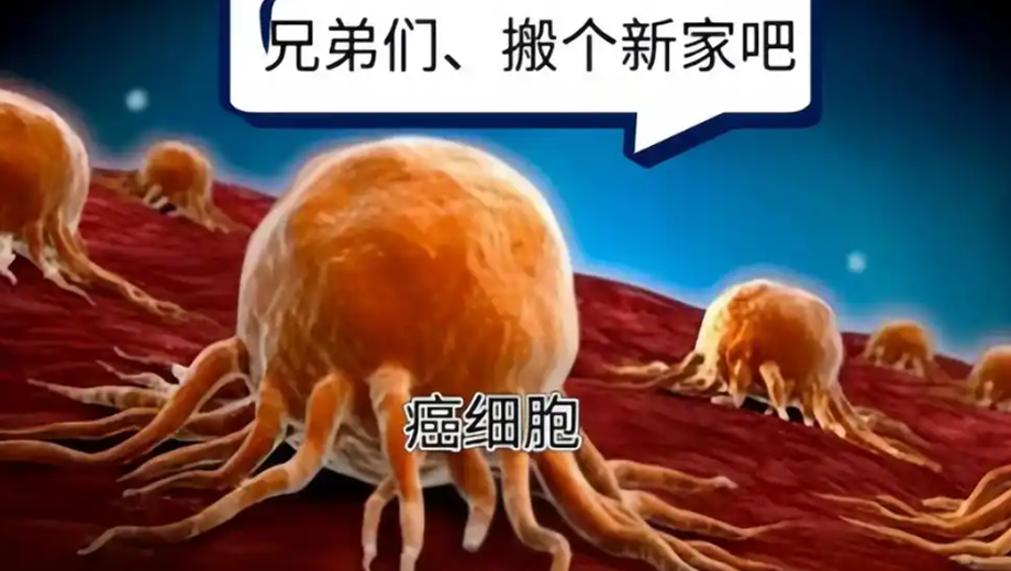 ScreenShot_2025-11-17_153742_836