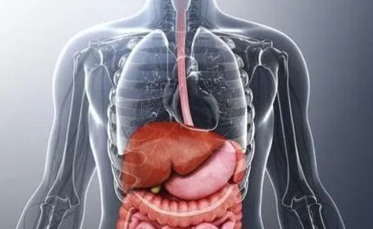 胃癌晚期能活多久？能治好吗？